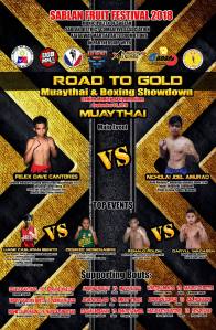 'Road to Gold' Muaythai and boxing showdown