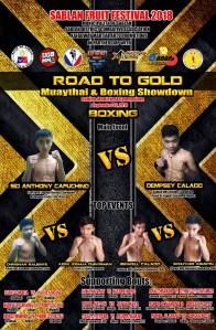 'Road to Gold' Muaythai and boxing showdown